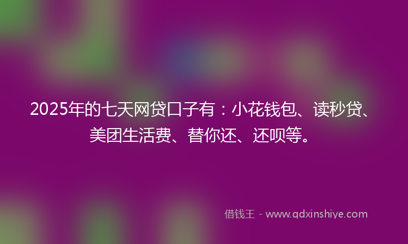 2025年的七天网贷口子有：小花钱包、读秒贷、美团生活费、替你还、还呗等。