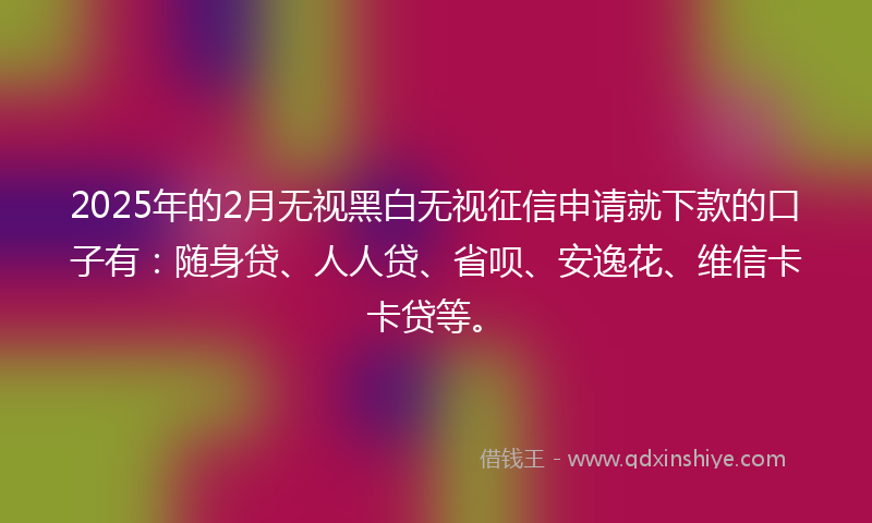 2025年的2月无视黑白无视征信申请就下款的口子有：随身贷、人人贷、省呗、安逸花、维信卡卡贷等。