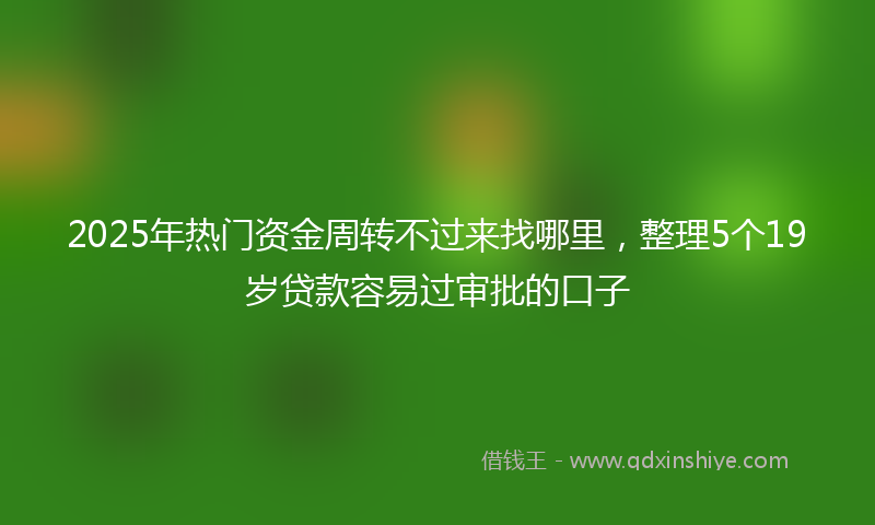 2025年热门资金周转不过来找哪里，整理5个19岁贷款容易过审批的口子