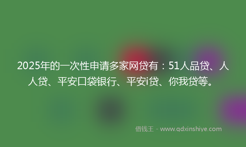2025年的一次性申请多家网贷有：51人品贷、人人贷、平安口袋银行、平安i贷、你我贷等。