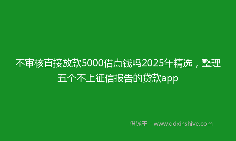 不审核直接放款5000借点钱吗2025年精选，整理五个不上征信报告的贷款app