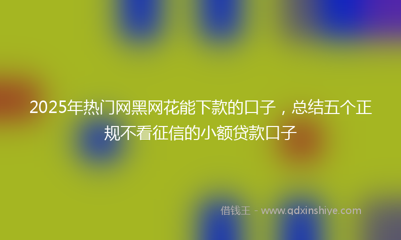 2025年热门网黑网花能下款的口子，总结五个正规不看征信的小额贷款口子