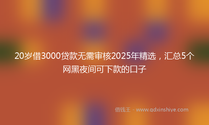 20岁借3000贷款无需审核2025年精选，汇总5个网黑夜间可下款的口子