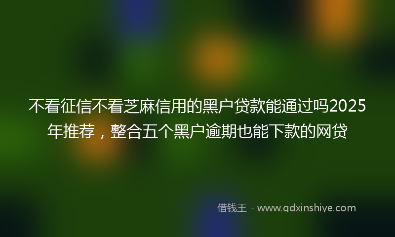 不看征信不看芝麻信用的黑户贷款能通过吗2025年推荐，整合五个黑户逾期也能下款的网贷