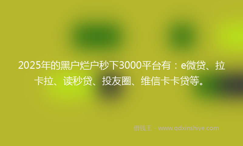 2025年的黑户烂户秒下3000平台有：e微贷、拉卡拉、读秒贷、投友圈、维信卡卡贷等。