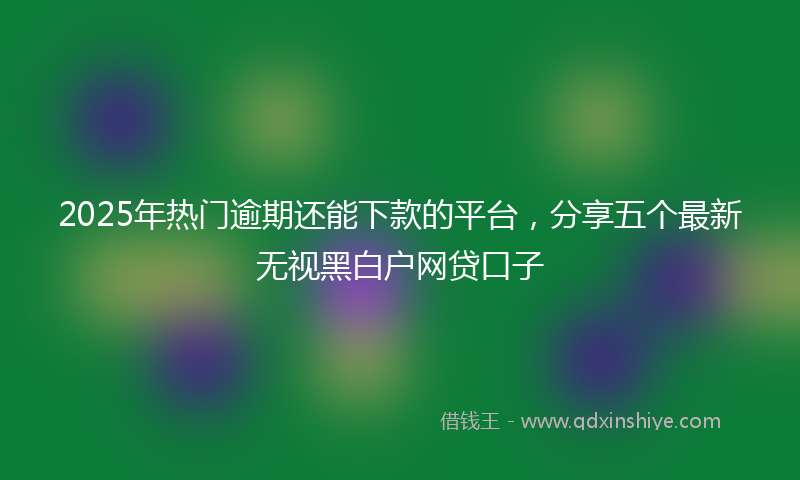 2025年热门逾期还能下款的平台，分享五个最新无视黑白户网贷口子