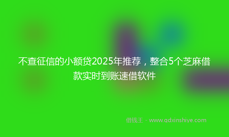 不查征信的小额贷2025年推荐，整合5个芝麻借款实时到账速借软件