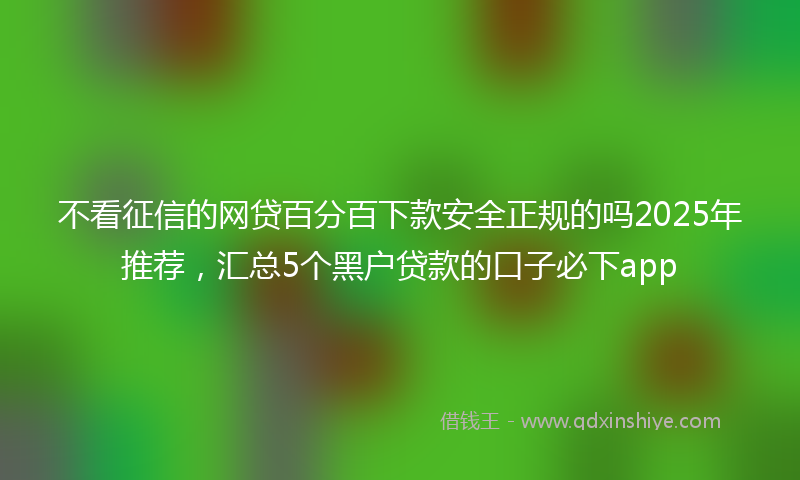 不看征信的网贷百分百下款安全正规的吗2025年推荐，汇总5个黑户贷款的口子必下app
