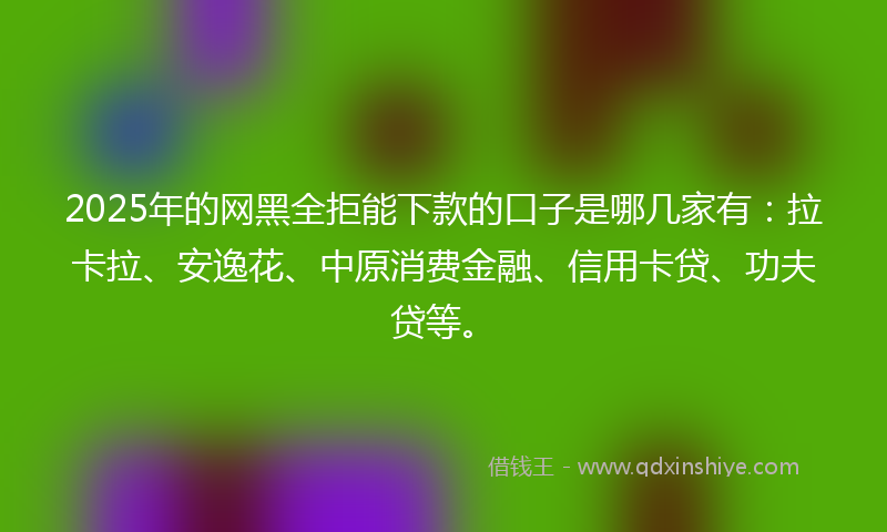 2025年的网黑全拒能下款的口子是哪几家有：拉卡拉、安逸花、中原消费金融、信用卡贷、功夫贷等。