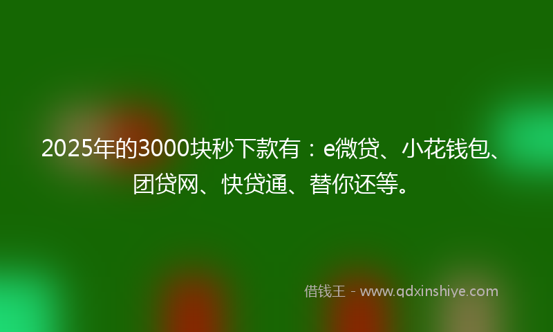 2025年的3000块秒下款有：e微贷、小花钱包、团贷网、快贷通、替你还等。