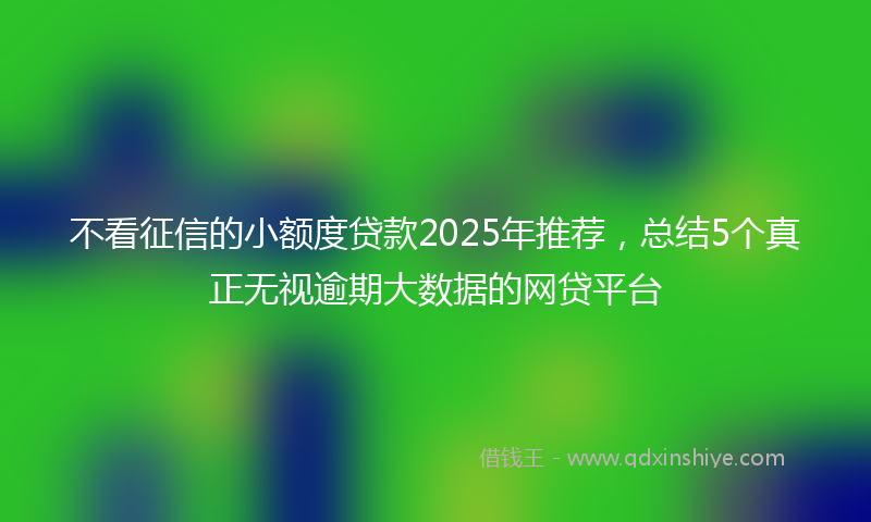 不看征信的小额度贷款2025年推荐，总结5个真正无视逾期大数据的网贷平台