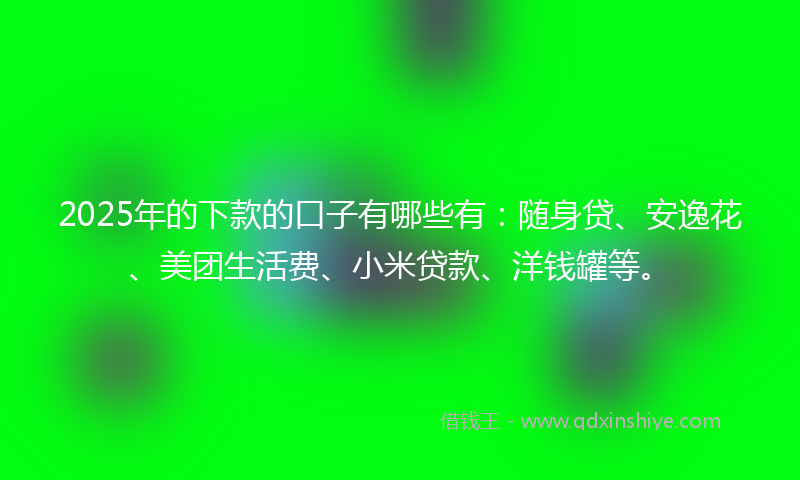 2025年的下款的口子有哪些有：随身贷、安逸花、美团生活费、小米贷款、洋钱罐等。