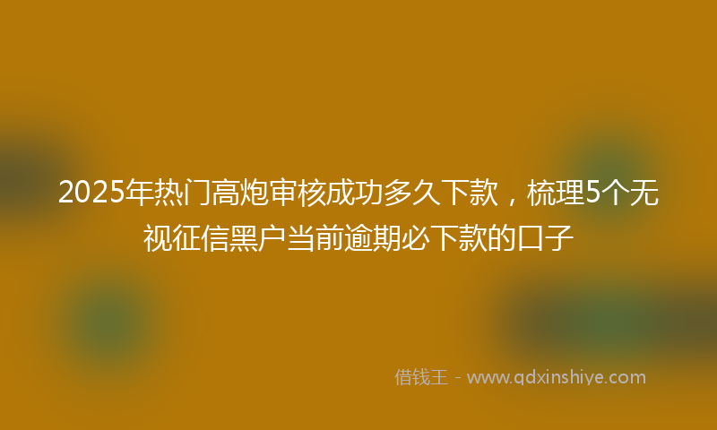 2025年热门高炮审核成功多久下款，梳理5个无视征信黑户当前逾期必下款的口子