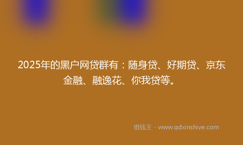 2025年的黑户网贷群有：随身贷、好期贷、京东金融、融逸花、你我贷等。