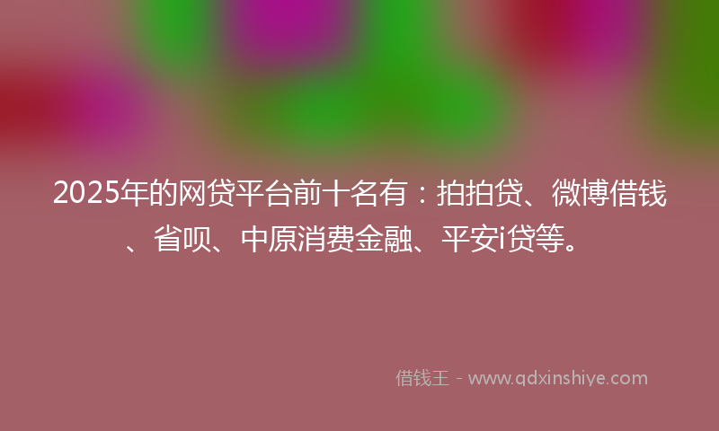 2025年的网贷平台前十名有：拍拍贷、微博借钱、省呗、中原消费金融、平安i贷等。