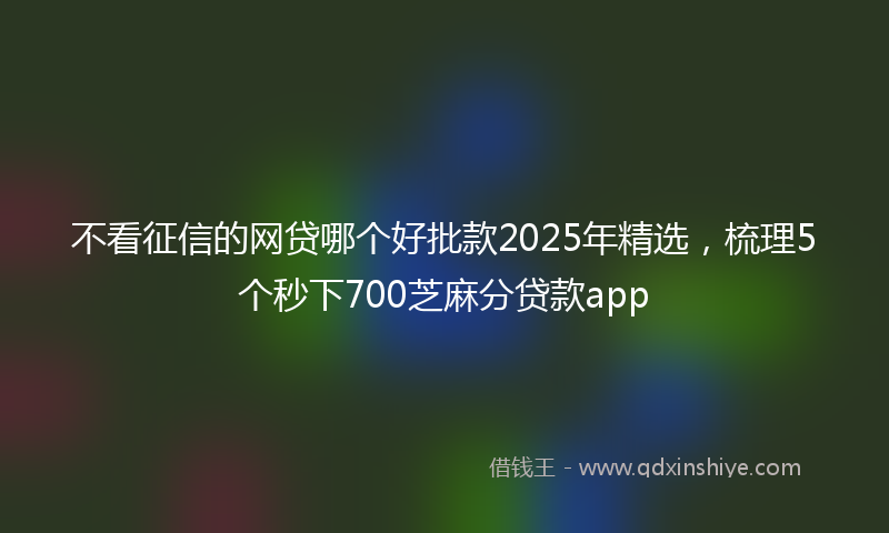 不看征信的网贷哪个好批款2025年精选，梳理5个秒下700芝麻分贷款app