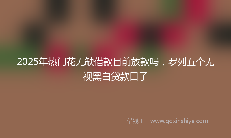 2025年热门花无缺借款目前放款吗，罗列五个无视黑白贷款口子