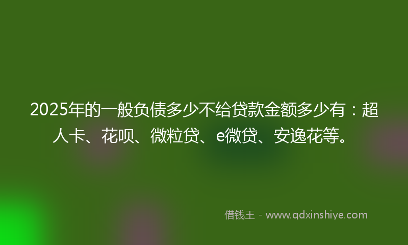 2025年的一般负债多少不给贷款金额多少有：超人卡、花呗、微粒贷、e微贷、安逸花等。