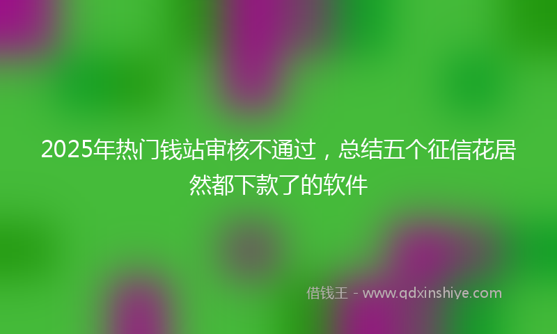 2025年热门钱站审核不通过，总结五个征信花居然都下款了的软件
