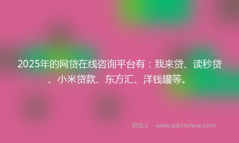 2025年的网贷在线咨询平台有：我来贷、读秒贷、小米贷款、东方汇、洋钱罐等。