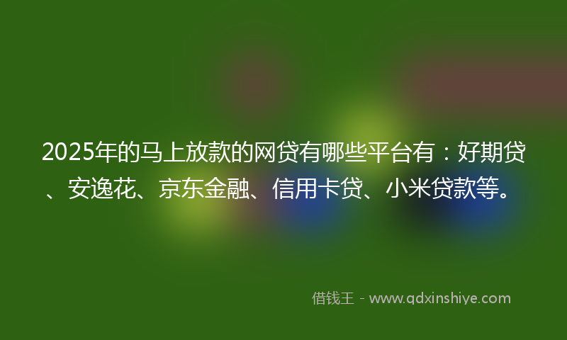 2025年的马上放款的网贷有哪些平台有：好期贷、安逸花、京东金融、信用卡贷、小米贷款等。
