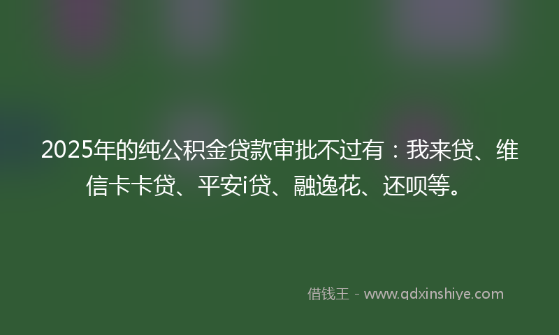2025年的纯公积金贷款审批不过有：我来贷、维信卡卡贷、平安i贷、融逸花、还呗等。