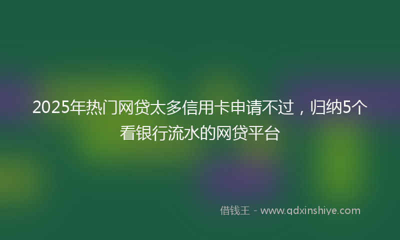 2025年热门网贷太多信用卡申请不过，归纳5个看银行流水的网贷平台