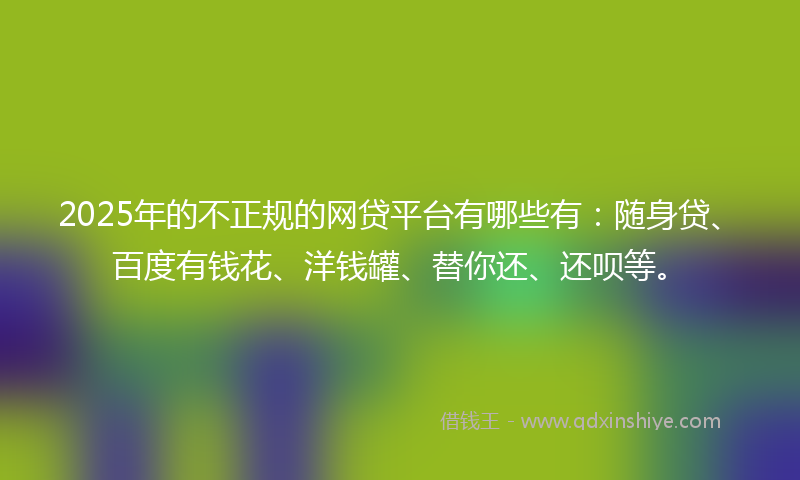 2025年的不正规的网贷平台有哪些有：随身贷、百度有钱花、洋钱罐、替你还、还呗等。