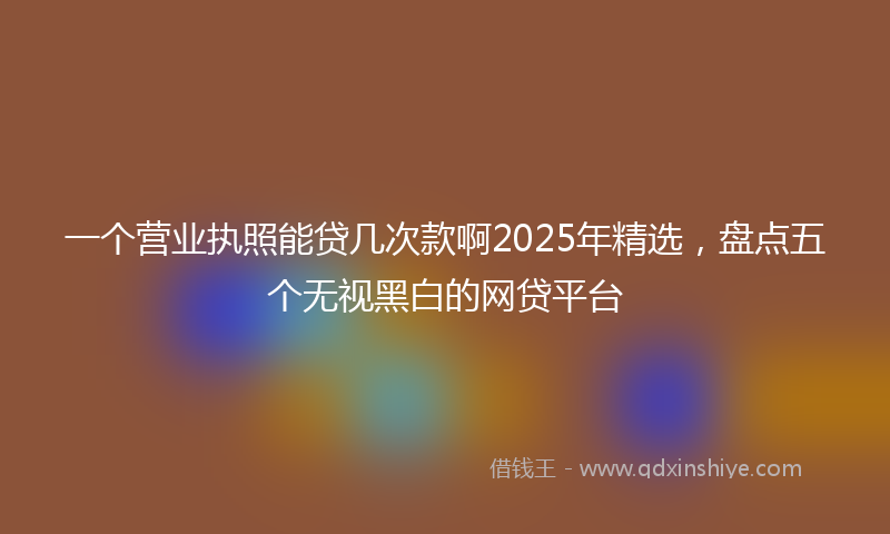 一个营业执照能贷几次款啊2025年精选，盘点五个无视黑白的网贷平台