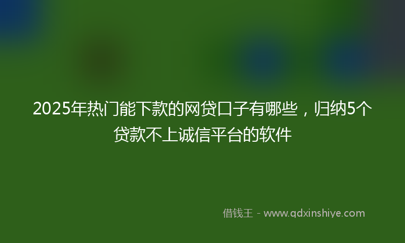 2025年热门能下款的网贷口子有哪些，归纳5个贷款不上诚信平台的软件