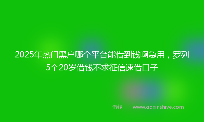 2025年热门黑户哪个平台能借到钱啊急用，罗列5个20岁借钱不求征信速借口子