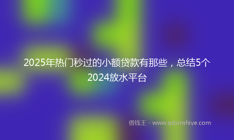 2025年热门秒过的小额贷款有那些，总结5个2024放水平台