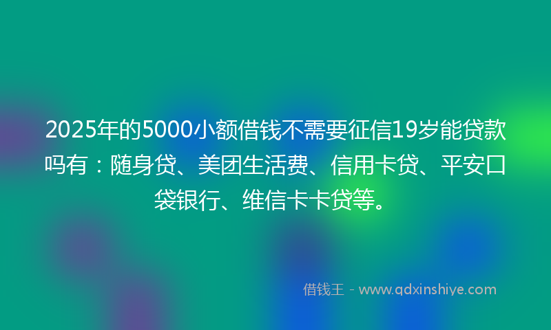 2025年的5000小额借钱不需要征信19岁能贷款吗有：随身贷、美团生活费、信用卡贷、平安口袋银行、维信卡卡贷等。