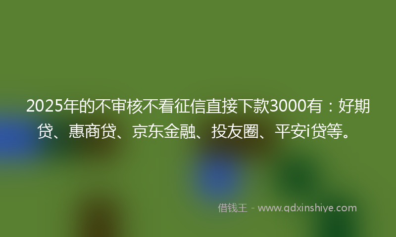 2025年的不审核不看征信直接下款3000有：好期贷、惠商贷、京东金融、投友圈、平安i贷等。