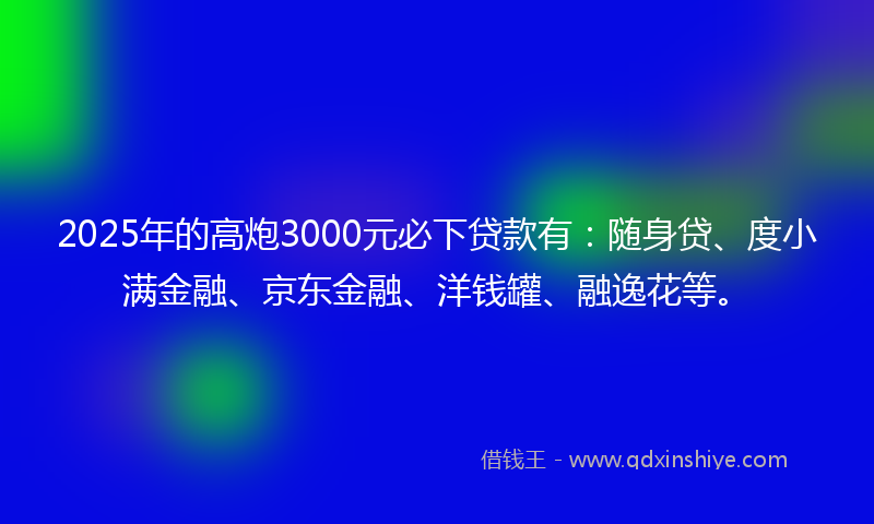 2025年的高炮3000元必下贷款有：随身贷、度小满金融、京东金融、洋钱罐、融逸花等。