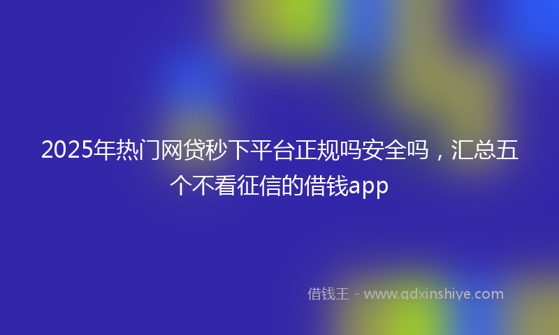 2025年热门网贷秒下平台正规吗安全吗，汇总五个不看征信的借钱app