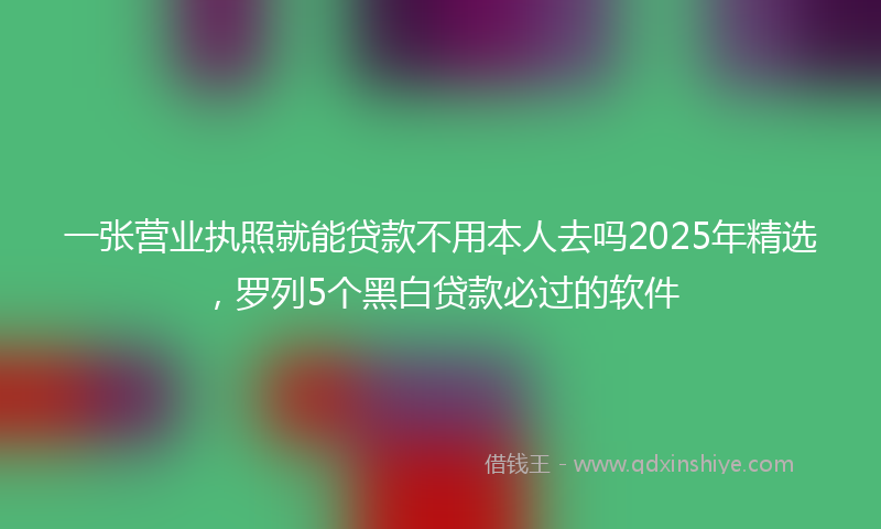 一张营业执照就能贷款不用本人去吗2025年精选，罗列5个黑白贷款必过的软件