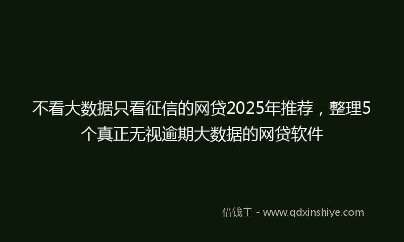 不看大数据只看征信的网贷2025年推荐，整理5个真正无视逾期大数据的网贷软件