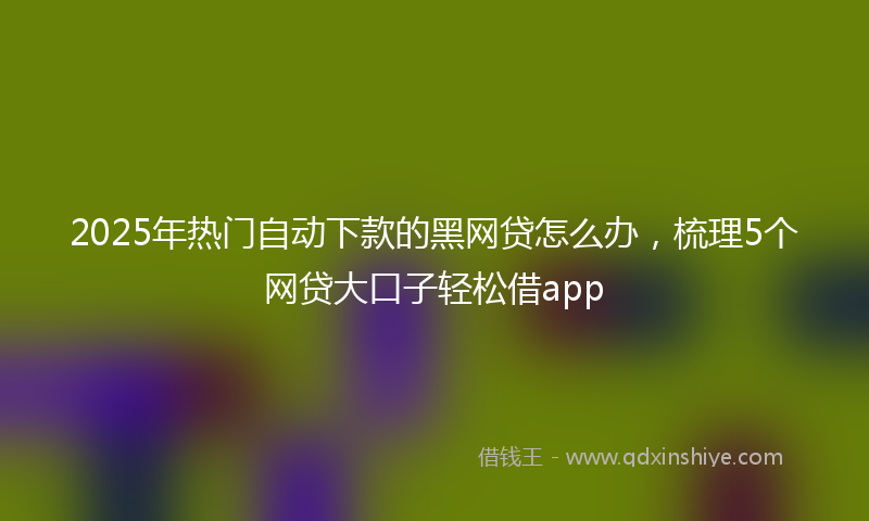 2025年热门自动下款的黑网贷怎么办，梳理5个网贷大口子轻松借app