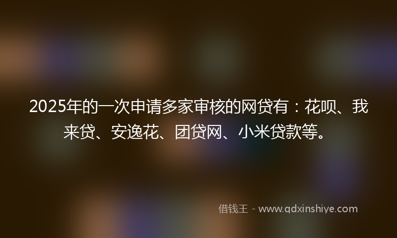 2025年的一次申请多家审核的网贷有：花呗、我来贷、安逸花、团贷网、小米贷款等。
