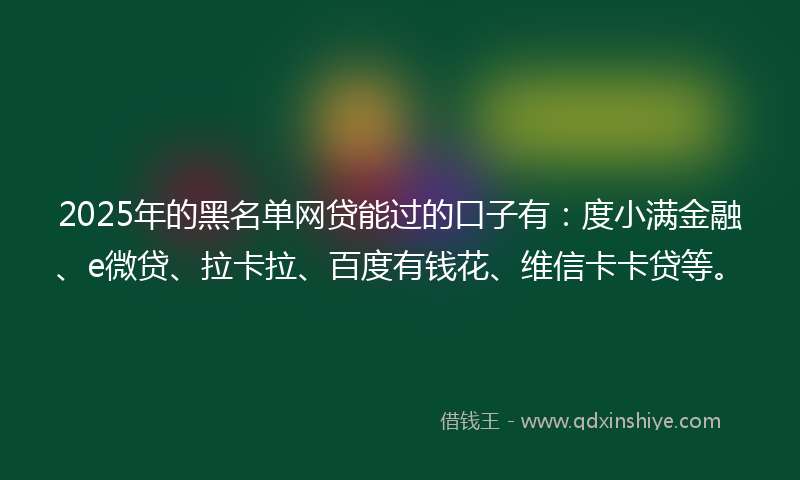 2025年的黑名单网贷能过的口子有：度小满金融、e微贷、拉卡拉、百度有钱花、维信卡卡贷等。