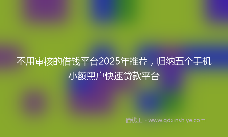 不用审核的借钱平台2025年推荐，归纳五个手机小额黑户快速贷款平台