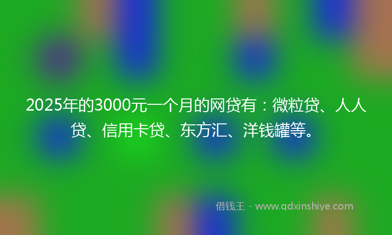 2025年的3000元一个月的网贷有：微粒贷、人人贷、信用卡贷、东方汇、洋钱罐等。