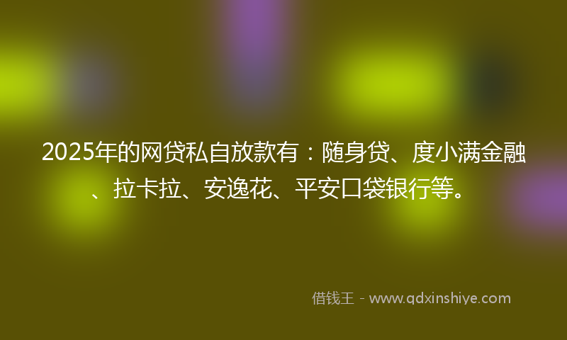 2025年的网贷私自放款有：随身贷、度小满金融、拉卡拉、安逸花、平安口袋银行等。