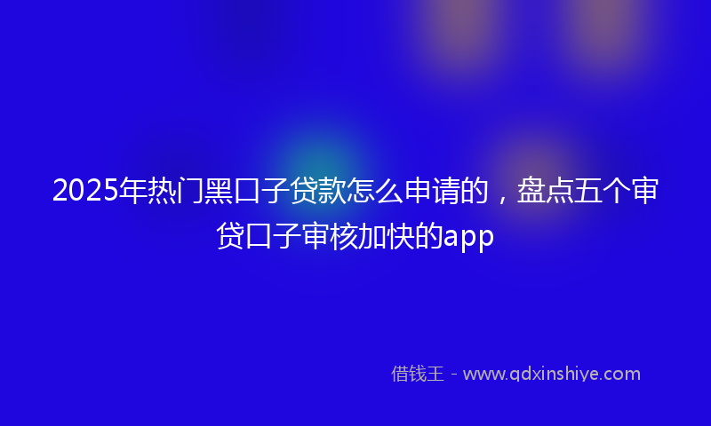 2025年热门黑口子贷款怎么申请的,盘点五个审贷口子审核加快的app
