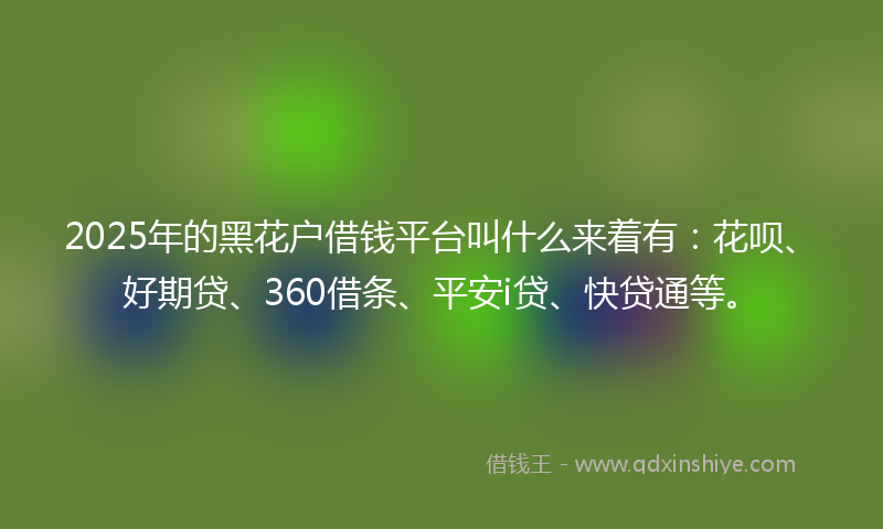 2025年的黑花户借钱平台叫什么来着有：花呗、好期贷、360借条、平安i贷、快贷通等。