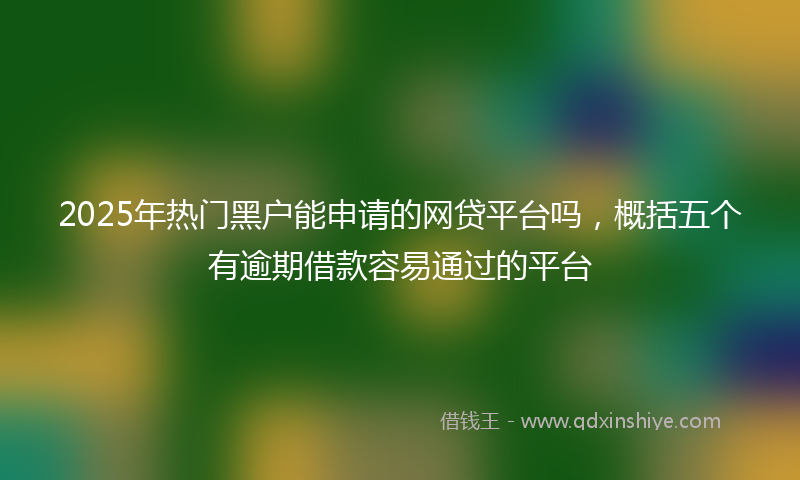 2025年热门黑户能申请的网贷平台吗，概括五个有逾期借款容易通过的平台