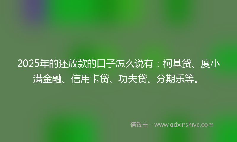 2025年的还放款的口子怎么说有：柯基贷、度小满金融、信用卡贷、功夫贷、分期乐等。