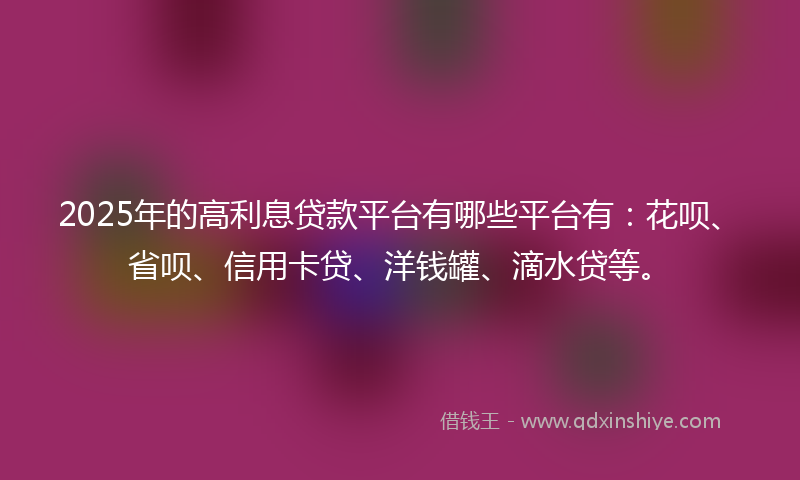 2025年的高利息贷款平台有哪些平台有:花呗、省呗、信用卡贷、洋钱罐、滴水贷等。