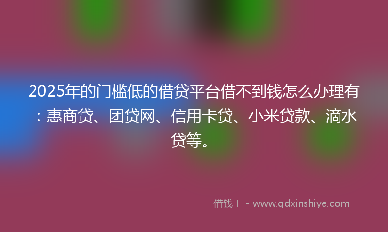 2025年的门槛低的借贷平台借不到钱怎么办理有：惠商贷、团贷网、信用卡贷、小米贷款、滴水贷等。